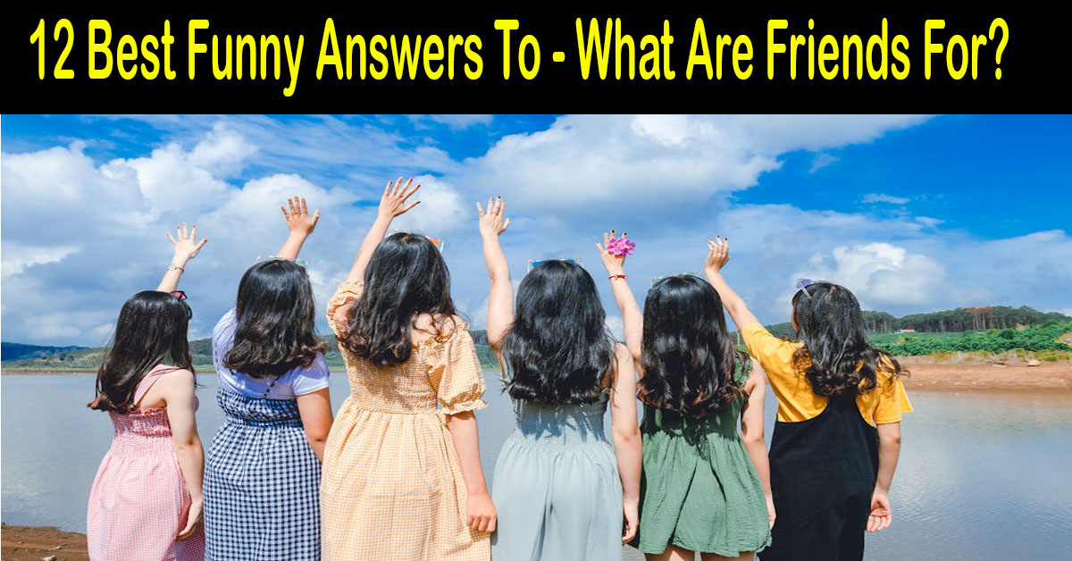 12 Best Funny Answers To - What Are Friends For?