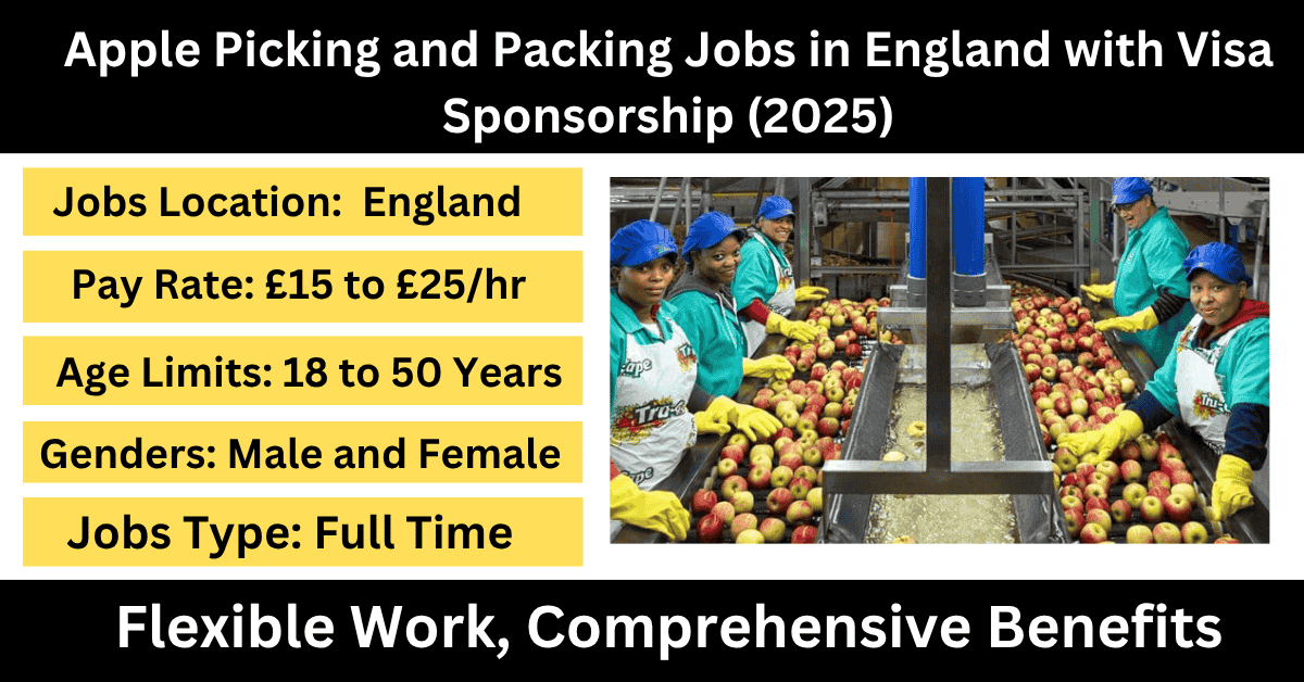 Apple Picking and Packing Jobs in England with Visa Sponsorship (2025)
